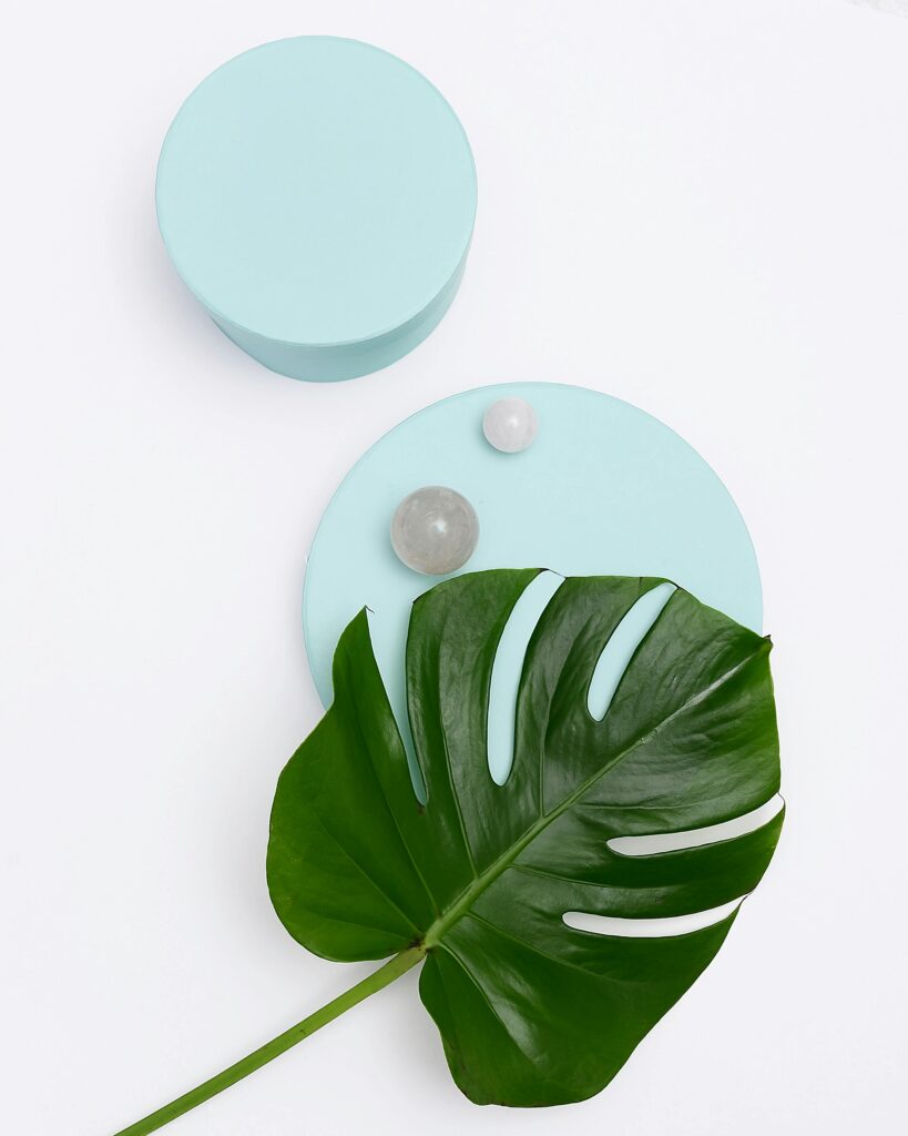 Monstera leaf on pastel blue objects with white background. Minimalist design.